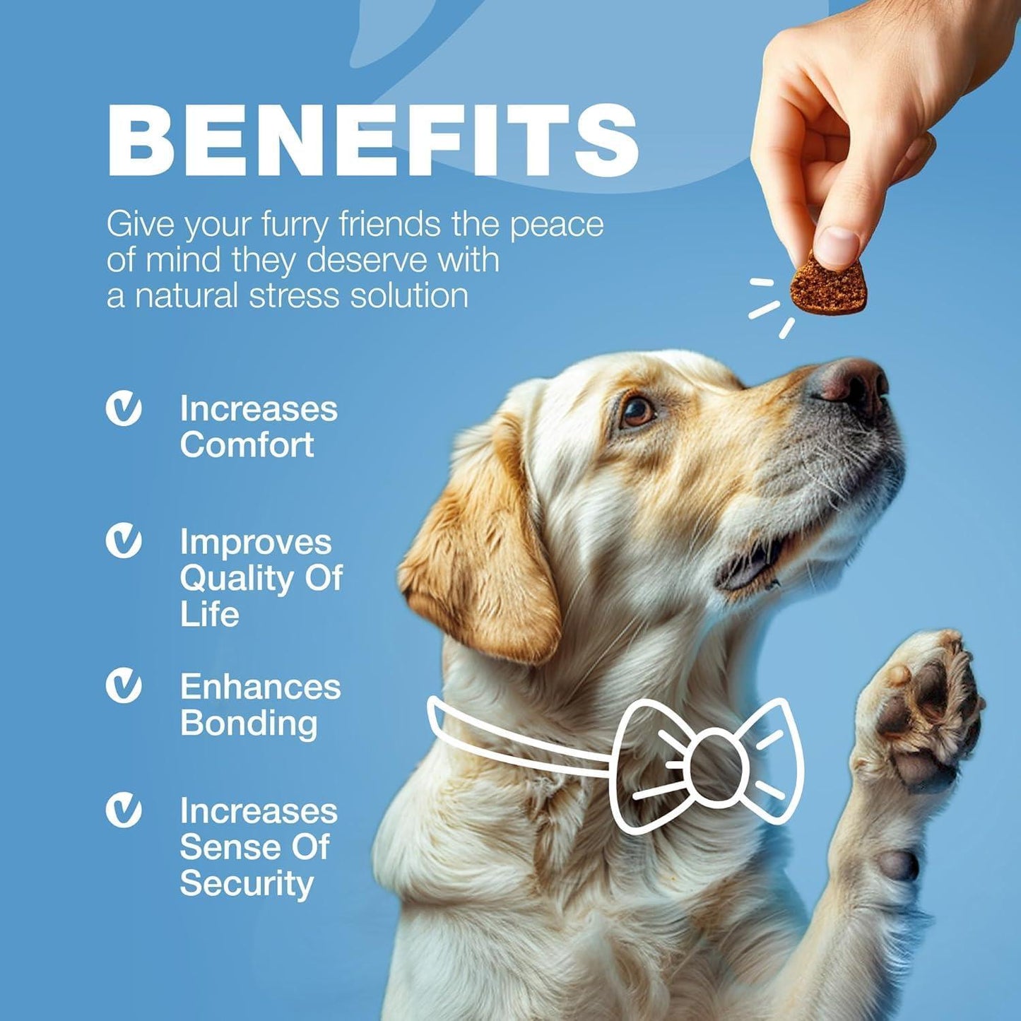 Hemp Calming Chews for Dogs Anxiety Relief Dog Calming Treats with Melatonin Chamomile Extract Valerian Root Travel Pack Anxiety Relief Chews for Vet Visits Grooming Nail Trimming Storms