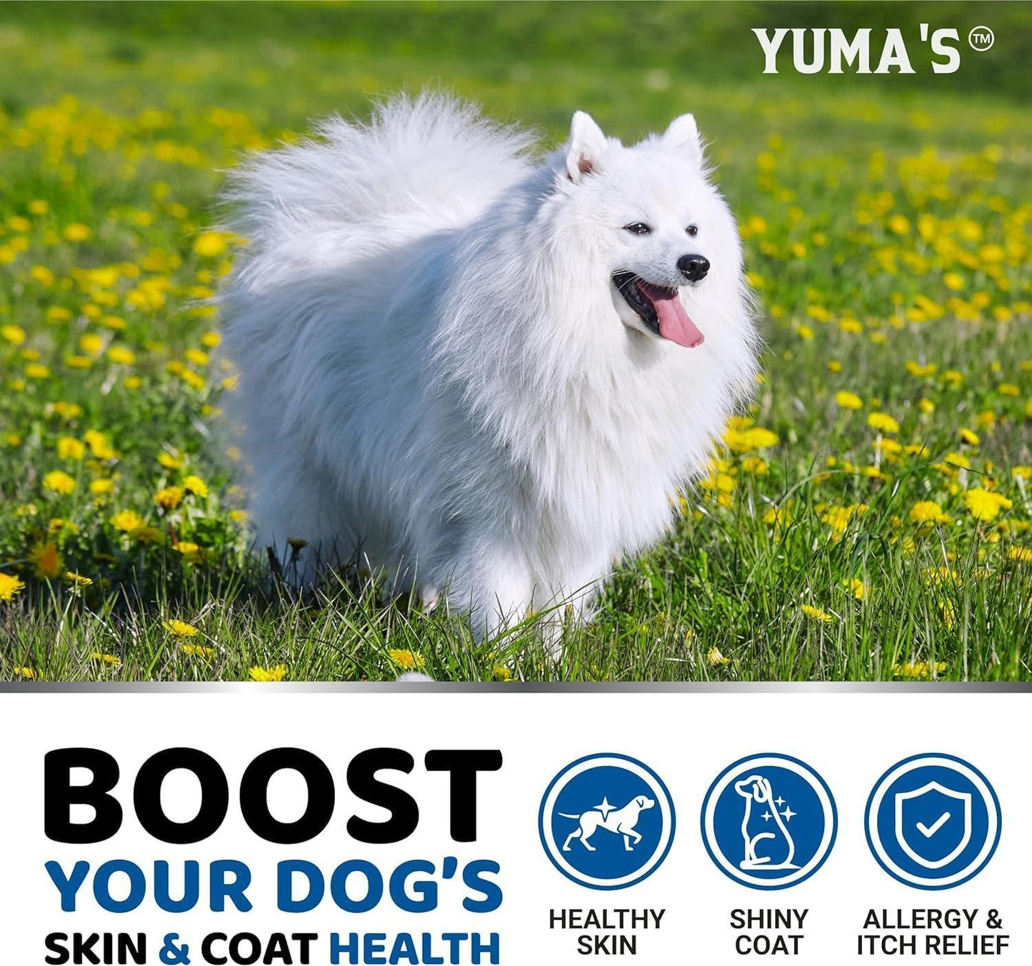 (2 Pack) Omega 3 Fish Oil for Dogs Skin and Coat Supplement Omega 3 for Dogs