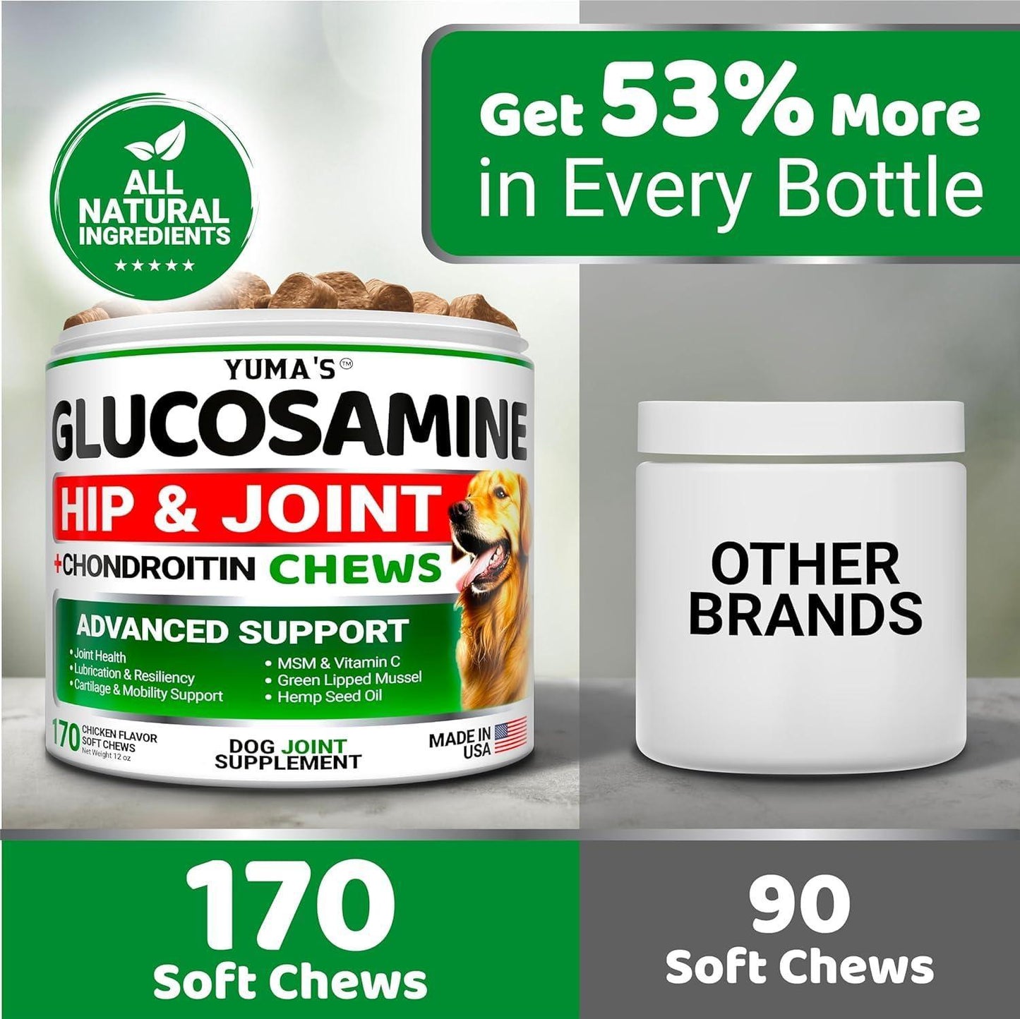 (2 Pack) Glucosamine for Dogs Made in USA