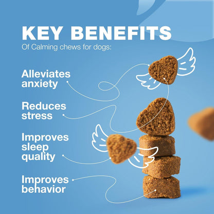 Hemp Calming Chews for Dogs Anxiety Relief   Dog Calming Treats with Melatonin Chamomile Extract Valerian Root   Travel Pack   Anxiety Relief Chews for Vet Visits Grooming Nail Trimming Storms