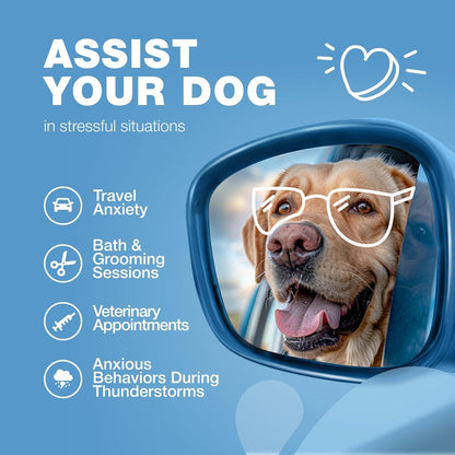 Hemp Calming Chews for Dogs Anxiety Relief   Dog Calming Treats with Melatonin Chamomile Extract Valerian Root   Travel Pack   Anxiety Relief Chews for Vet Visits Grooming Nail Trimming Storms